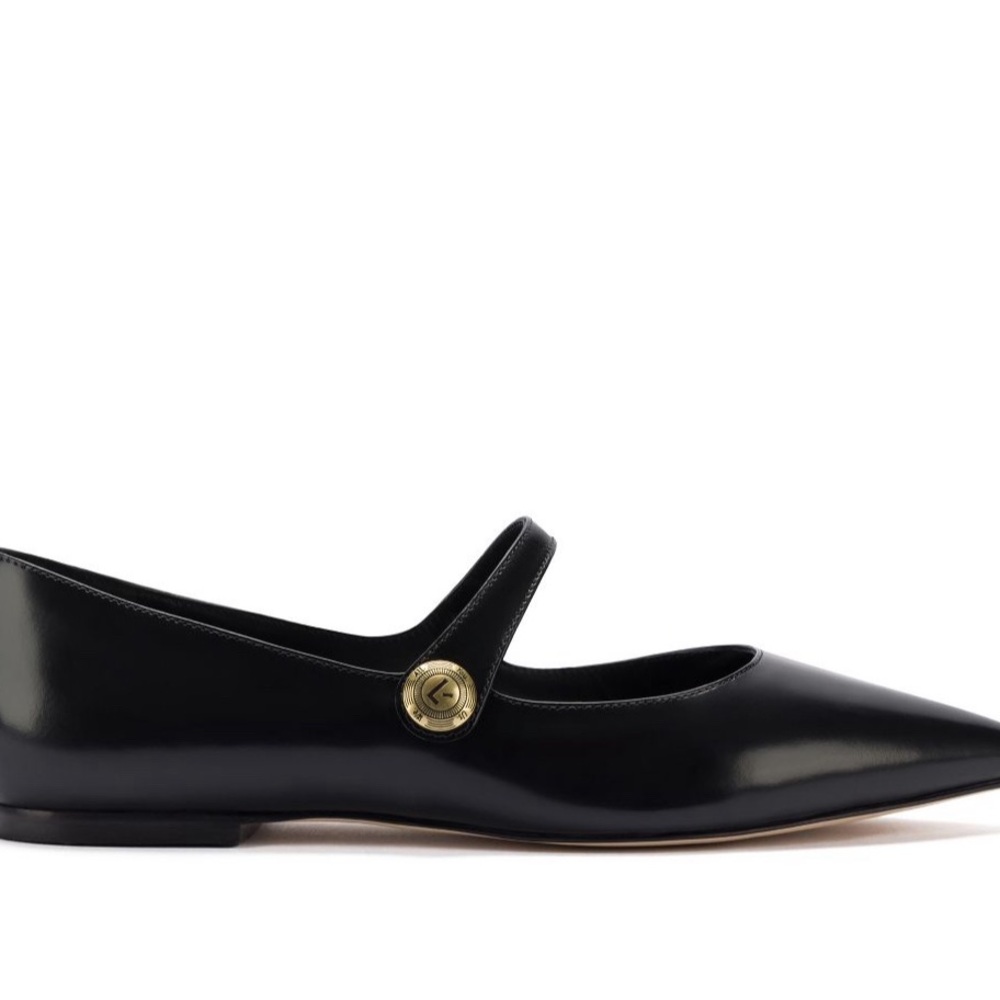 Brand new LARROUDÉ CAROLINE FLATS